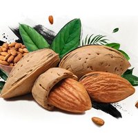 Almond Nuts