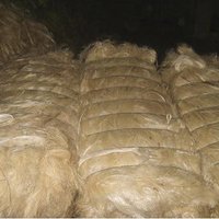 Sisal Fibers